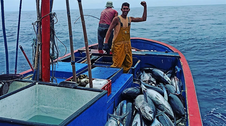 www.pescaturismocanarias.com/ca/canaries Excursions per a la pesca de la tonyina a l'illa de la Palma